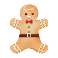 Gingerbread man cookies hand drawn water color illustration png