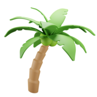 3D render coconut tree png