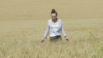 Young lady wearing jeans with luggage walking in the middle of the wheat field video