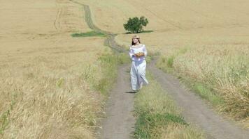 Young lady walking in the middle of the wheat field video