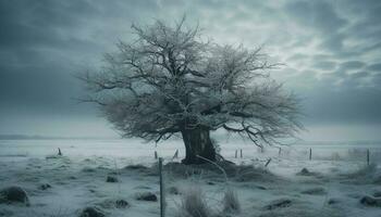 solitario árbol soportes en medio de Nevado invierno paisaje generado por ai foto