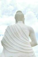 Buddha - A worshiper of non-violence photo