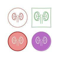 Kidney Vector Icon