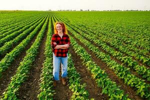 retrato de hembra granjero quien es cultivando haba de soja. ella es satisfecho con bueno Progreso de plantas. agrícola ocupación. foto