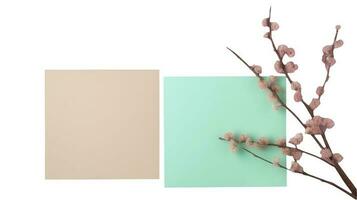 Top View of Two Color Blank Paper Sticky or Cards Mockup and Dried Floral Branch. photo