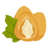 coxinha brasiliansk mat png