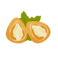 coxinha brasiliansk mat png