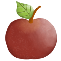 Apples have many benefits. and easy to find There are many varieties of apples. People like to eat because it's easy to buy. png