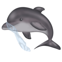 delfin i de vatten, plast väska, spara de hav png