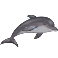 dolphin in the water, plastic bag, save the ocean png