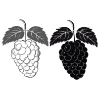 Mulberry transparent background,Ai generative png