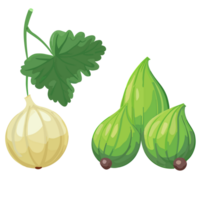 Fig transparent background,AI Generative png