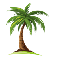 Coconut tree transparent background png