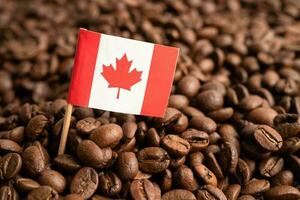 Canada flag on coffee bean, import export trade online commerce concept. photo