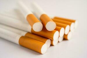 Cigarette, tobacco in roll paper with filter tube, No smoking concept. photo