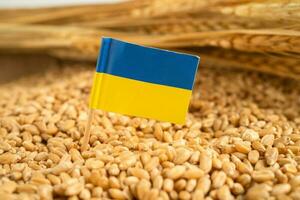 Grains wheat with Ukraine flag, trade export and economy concept. photo