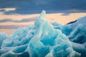 Flock of bird perched on blue iceberg floating on glacial lagoon in the evening at Jokulsarlon photo