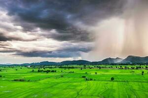 Rain storm fall mountain rice green field photo