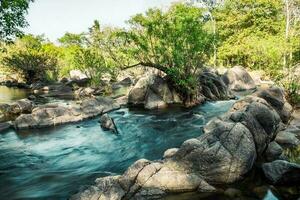 Rock river rapids in national park photo