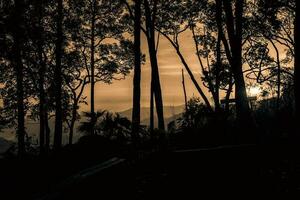 Scenic forest hill sunrise at national park photo