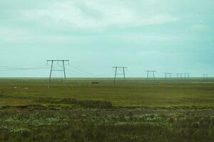 de madera utilidad polo o eléctrico polo con cable cable en agricultura zona en rural en verano a Islandia foto