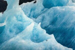 Surface of iceberg melting in glacier and bird perching in Atlantic ocean photo