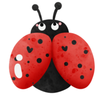 cute lady bug png