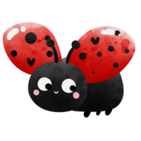 cute lady bug png