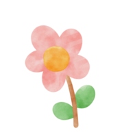 blomma vattenfärg tecknad serie png