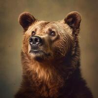 Brown bear studio portet close-up. Predator from the Red Book. . photo