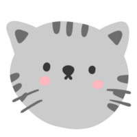 joli visage de chat png