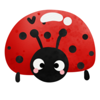 cute lady bug png