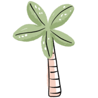 palm boom waterverf png