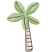 Palme Baum Aquarell png