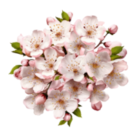 Cherry flower isolated. Illustration AI Generative png