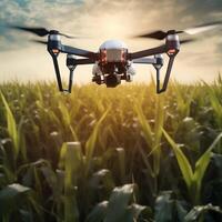 Drone above corn field. Smart agriculture controlled. Drone use for safety, terrain scanning technology. Blurred field background. photo