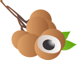 longan frukt png