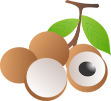 longan fruit PNG