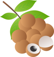 longan frutta png