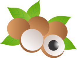 Longan fruit PNG