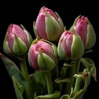 peonía tulipán. ramo de flores en un negro antecedentes. primavera flores generativo ai foto