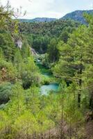 hermosa paisaje con verde bosque y turquesa río. foto