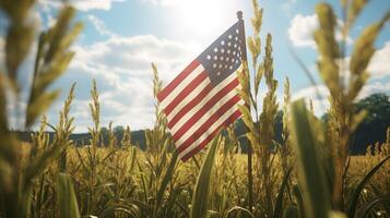 USA Flag Fluttering on Farmland photo