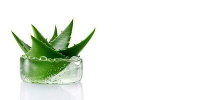 Green juicy aloe vera isolated on white background with copy space. Stylish composition for banner, business card, cover. Generative AI photo
