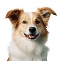 schattig hond portret geïsoleerd. illustratie ai generatief png