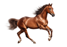 Brown horse isolated. Illustration AI Generative png