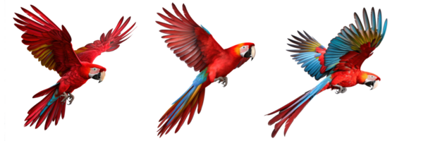 rojo guacamayo aislado. ilustración ai generativo png