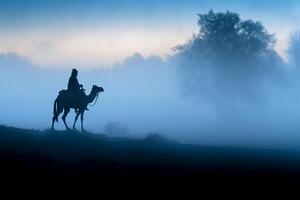 Soldier on a camel, foggy area, silhouette. photo