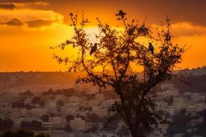 birds on the tree in Jerusalem. AI generative photo