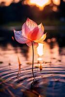 macro fotografía de un épico puesta de sol a un hermosa escénico lago como visto mediante el translúcido pétalo de un flor floreciente en el césped. ai generativo foto